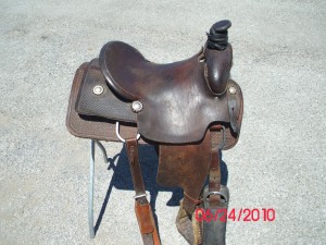 www.Cowboy4Sale.com, texas, horses, horse, for sale, country, stud, mare, breeding, bred, easy, jet, cash, dash, safe, longhorns, sorrel, buckskin, washington, 