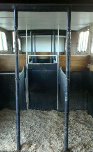 www.Cowboy4Sale.com, texas, horses, horse, for sale, country, stud, mare, breeding, bred, easy, jet, cash, dash, safe, longhorns, sorrel, buckskin, washington, kids, beginner, advanced, show, pleasure, trail, riding, cowboy, cowgirl, freckles, playboy