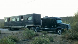 www.Cowboy4Sale.com, texas, horses, horse, for sale, country, stud, mare, breeding, bred, easy, jet, cash, dash, safe, longhorns, sorrel, buckskin, washington, kids, beginner, advanced, show, pleasure, trail, riding, cowboy, cowgirl, freckles, playboy