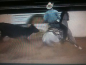 mossyboon www.Cowboy4Sale.com, texas, horses, horse, for sale, country, stud, mare, breeding, bred, easy, jet, cash, dash, safe, longhorns, sorrel, buckskin, washington, kids, beginner, advanced, show, pleasure, trail, riding, cowboy, cowgirl, freckles, playboy, calf, show, prca, rope tie down, cutting, pepto, NCHA, stud, stallion 