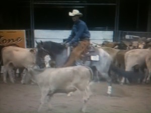 mossyboon www.Cowboy4Sale.com, texas, horses, horse, for sale, country, stud, mare, breeding, bred, easy, jet, cash, dash, safe, longhorns, sorrel, buckskin, washington, kids, beginner, advanced, show, pleasure, trail, riding, cowboy, cowgirl, freckles, playboy, calf, show, prca, rope tie down, cutting, pepto, NCHA, stud, stallion 