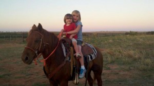 bay, colt trainer, deal, eating right, endurance, facebook, filly, for sale, go to momma, goat, horse, horse place, horses, house, kids, life, longhorns, mare, online, oprah, playday, ranch, real estate., riding, rodeo, rope, SHAM, sorting, sports, team penning, texas, tnt ranch, traci davis, training, wahm