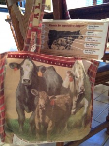 Recycled Horse/Cat/Dog/ etc Totes, Cloth Purses, Helmet/Boot Bags, Messenger Bags, Change/Make up Bags, Saddle Towels, Race Day Bags, Catnip Sachets, Dog Bones, Stuffed Horses, Golf Accessory Bags, Golf Shoe Bags, and of course blanket repairs... Recycled Horse/Cat/Dog/ etc Totes, Cloth Purses, Helmet/Boot Bags, Messenger Bags, Change/Make up Bags, Saddle Towels, Race Day Bags, Catnip Sachets, Dog Bones, Stuffed Horses, Golf Accessory Bags, Golf Shoe Bags, and of course blanket repairs...