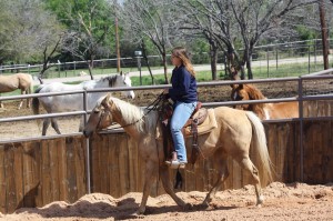 Reno - Palomino mare  (4)