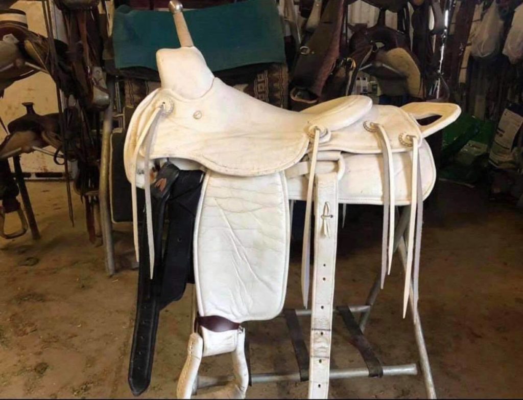 » White trick saddle Traci Davis