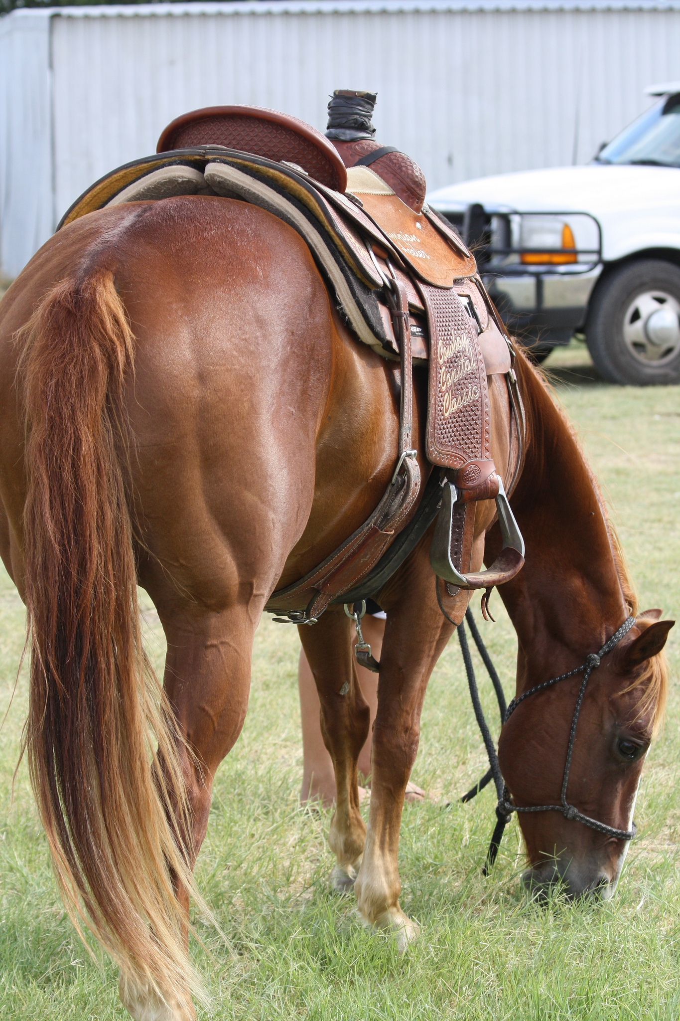 breakawayfrom，breakawayfrom是什么意思